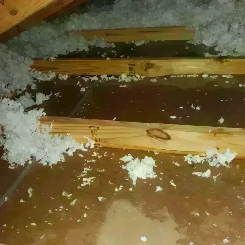 Attic Water Damage in Greenville, AL