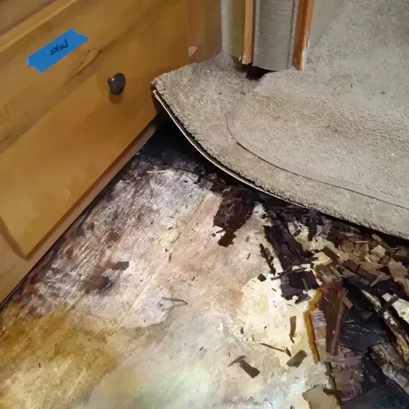 Wood Floor Water Damage in Greenville, AL